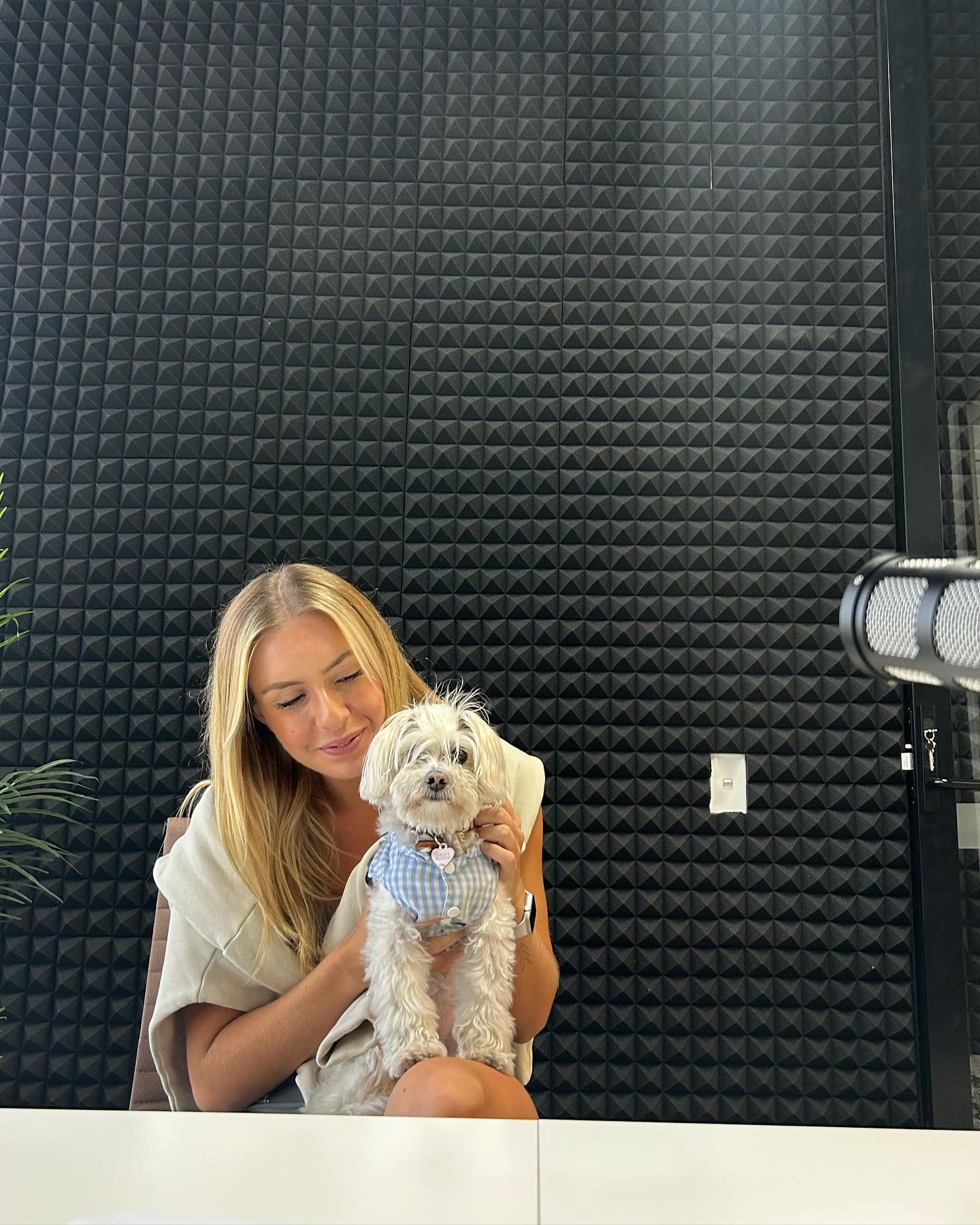 allygravemade instagram image archive image