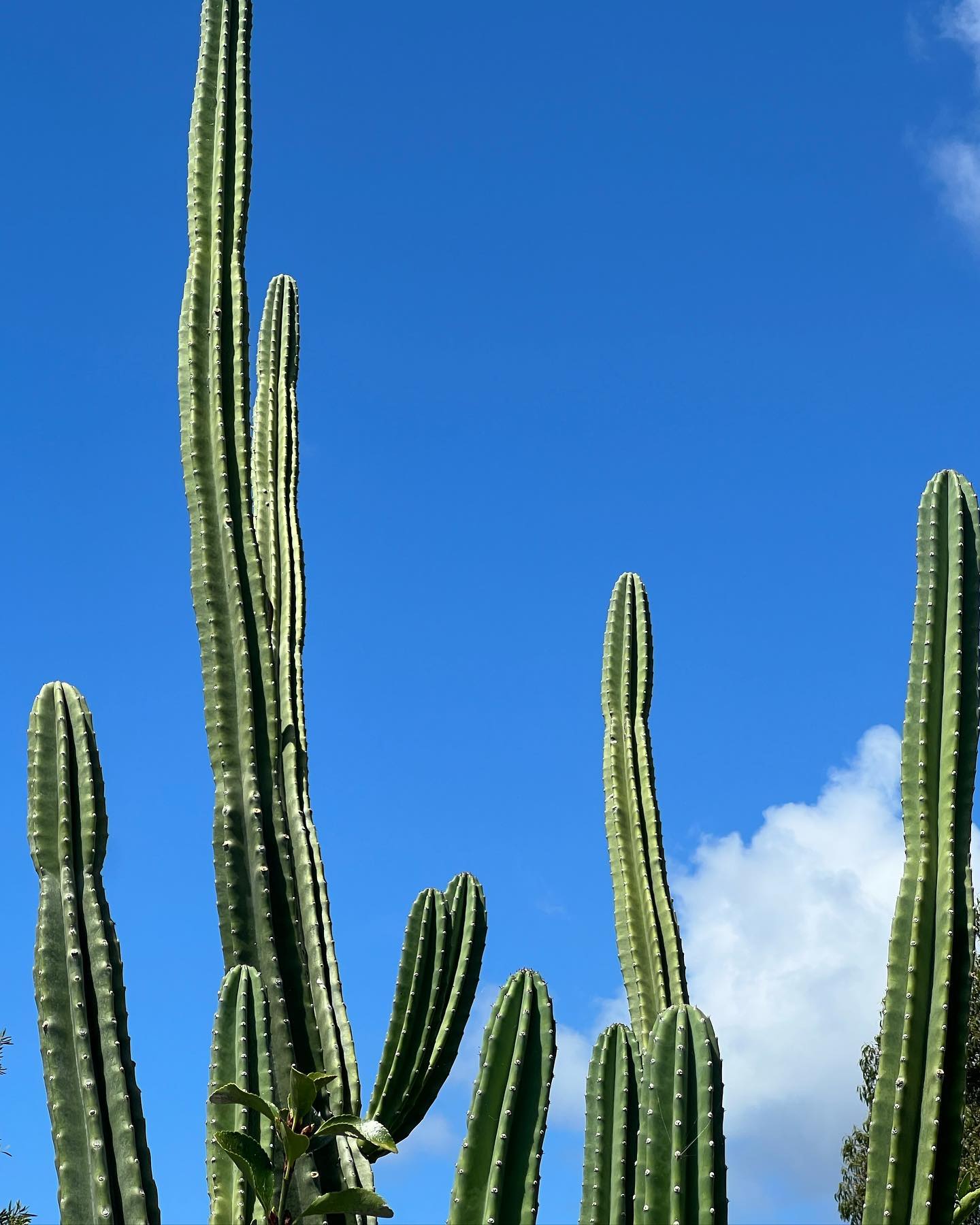 allygravemade instagram image archive image