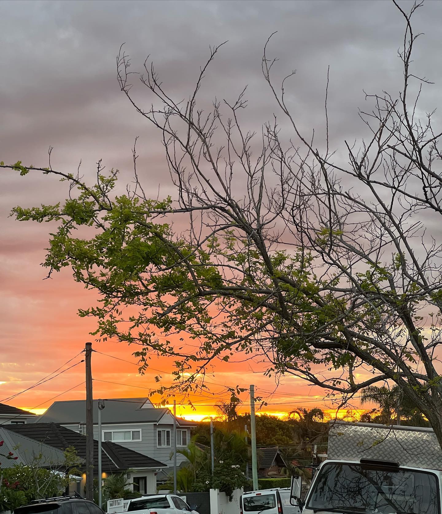 allygravemade instagram image archive image