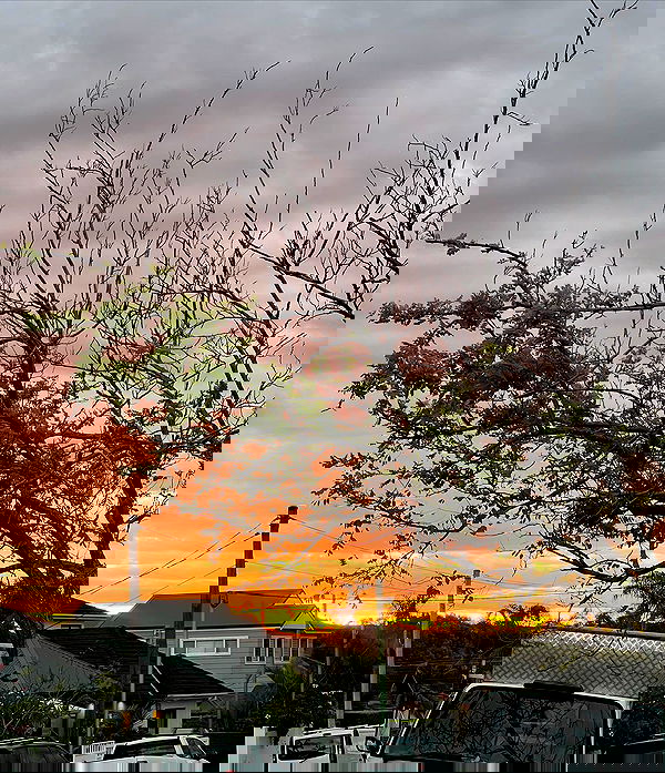 allygravemade image ~ Altpins