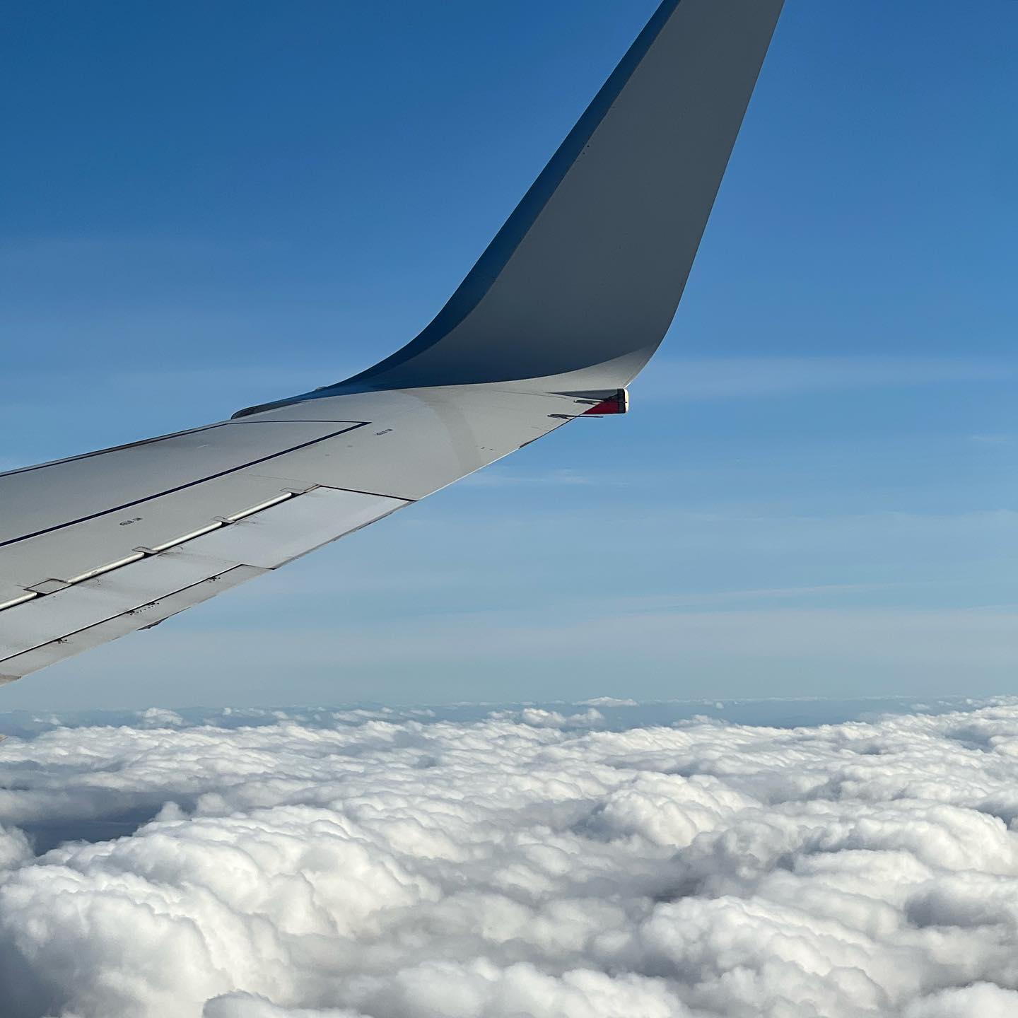 allygravemade instagram image archive image