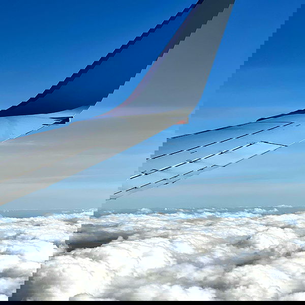 allygravemade image ~ Altpins