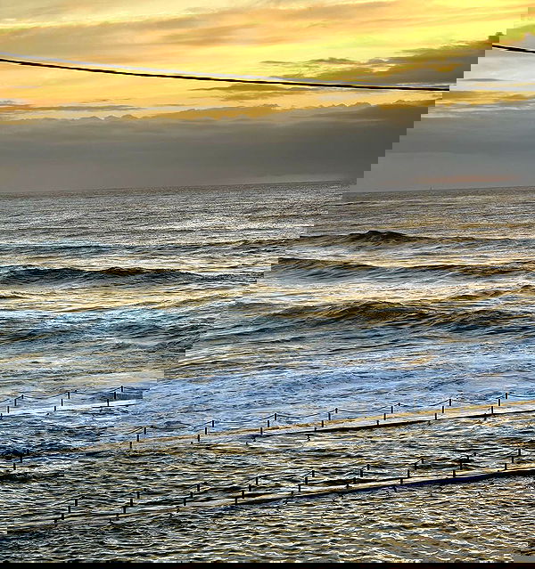 allygravemade image ~ Altpins