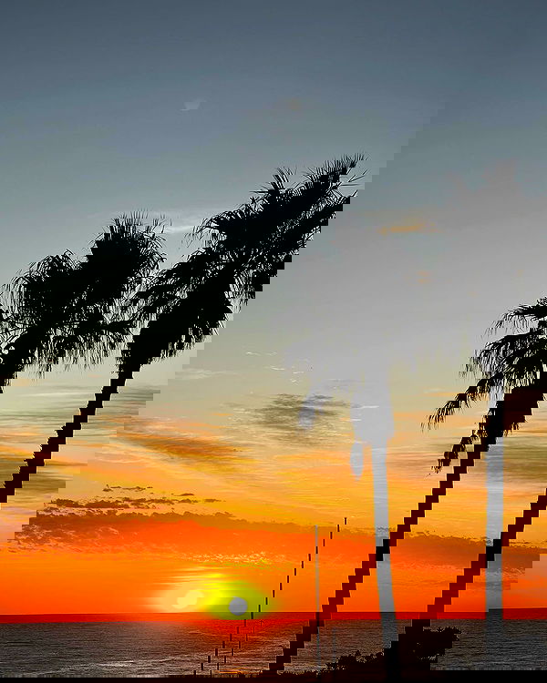 allygravemade image ~ Altpins