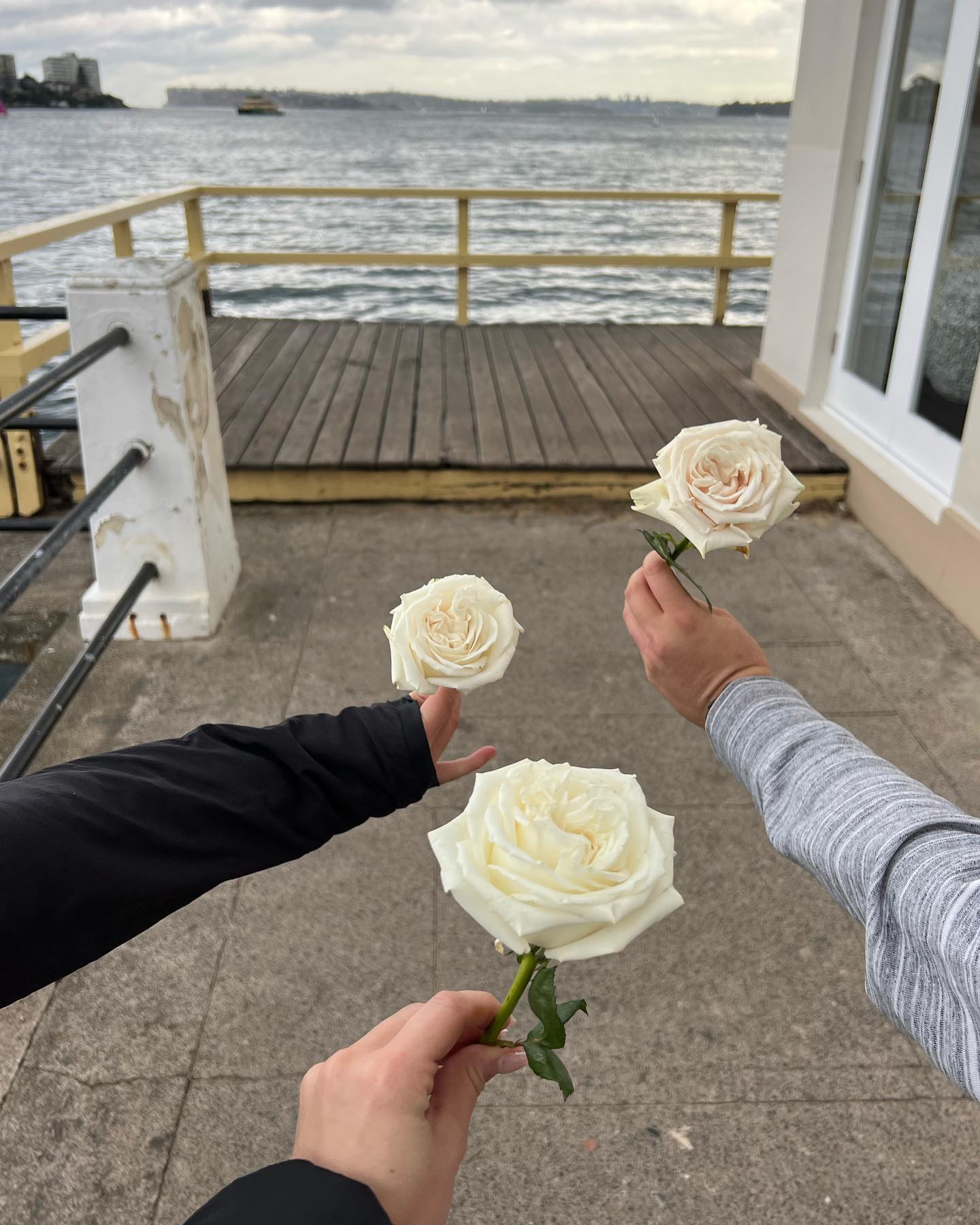 allygravemade instagram image archive image