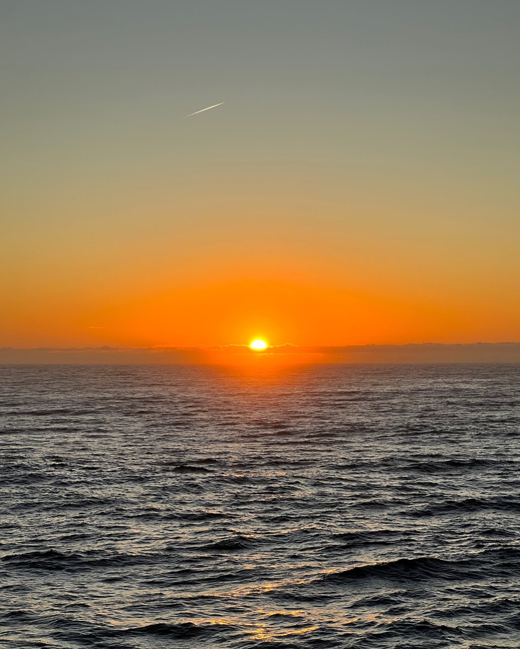 allygravemade instagram image archive image