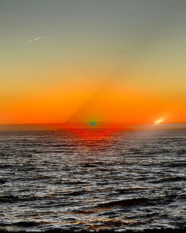 allygravemade image ~ Altpins