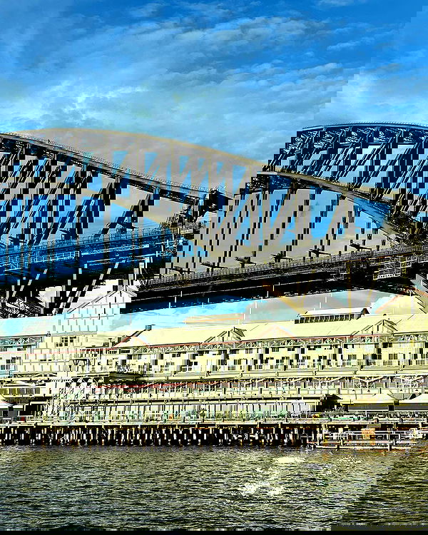 allygravemade image ~ Altpins