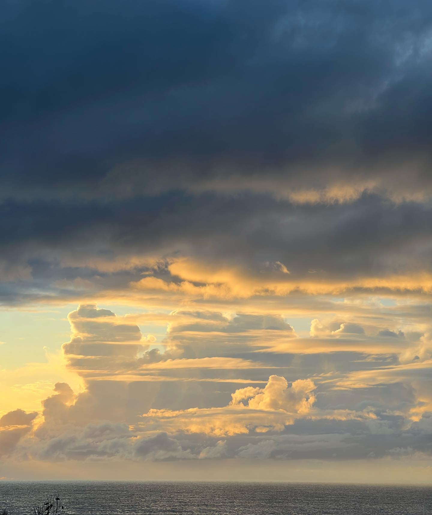 allygravemade instagram image archive image