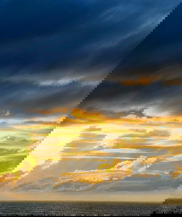 allygravemade image ~ Altpins