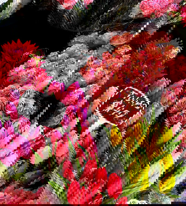 allygravemade image ~ Altpins