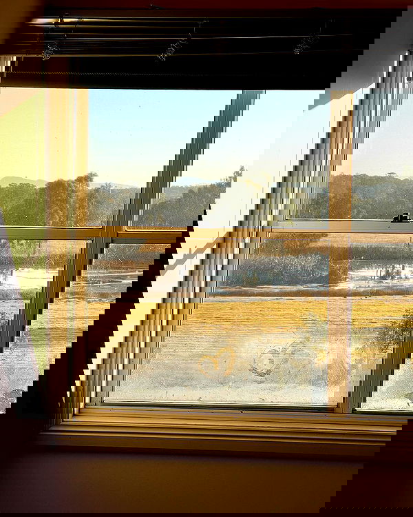 allygravemade image ~ Altpins