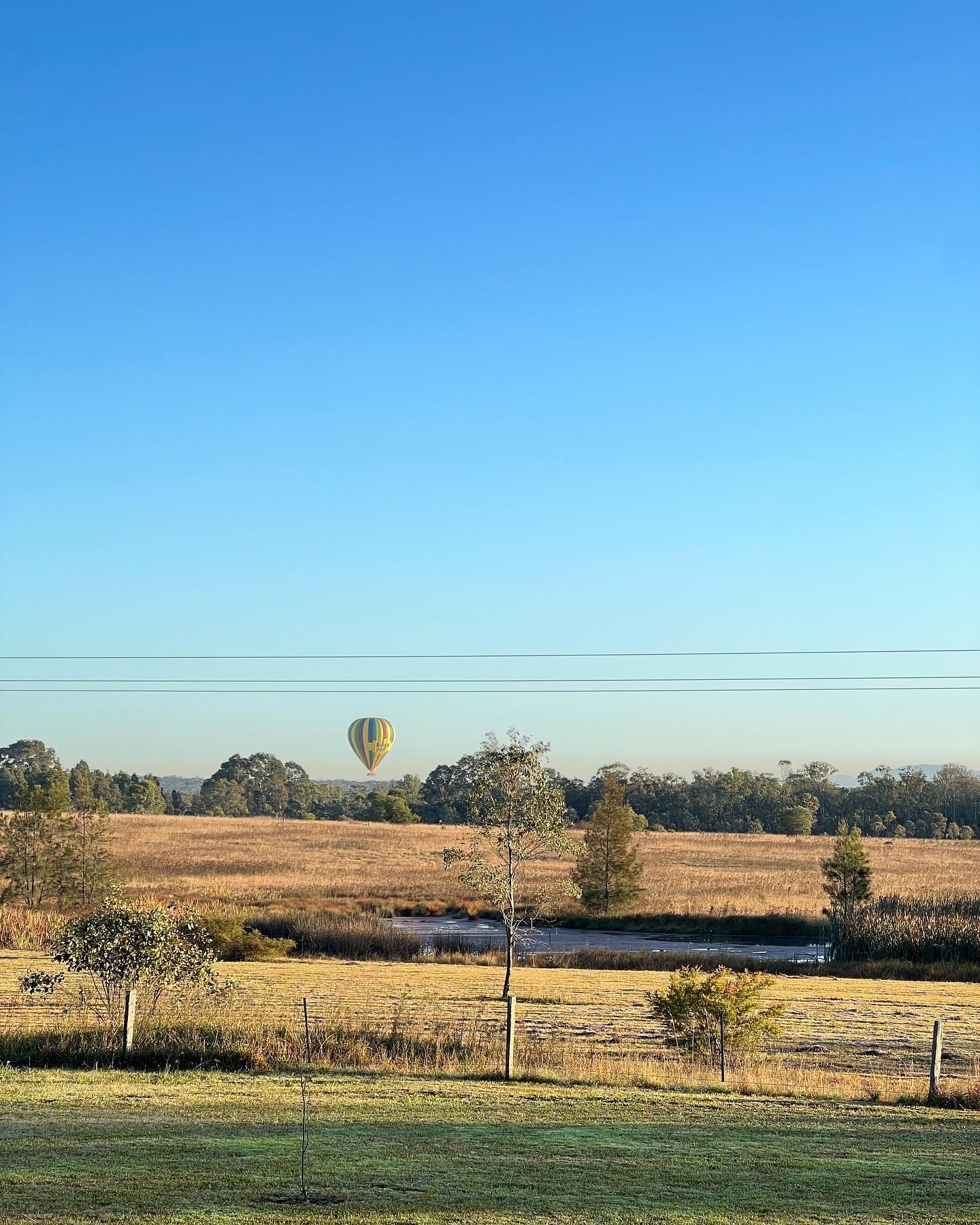 allygravemade instagram image archive image