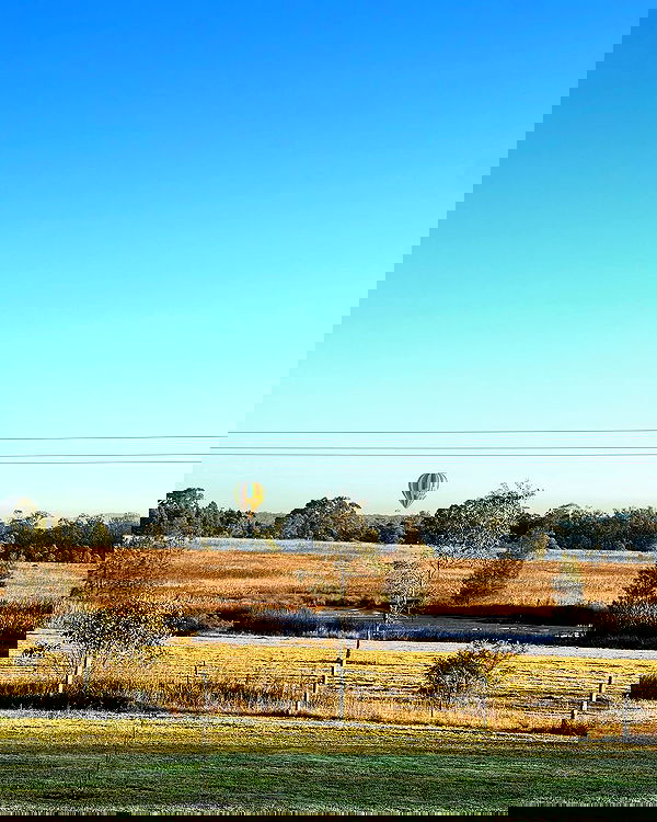 allygravemade image ~ Altpins