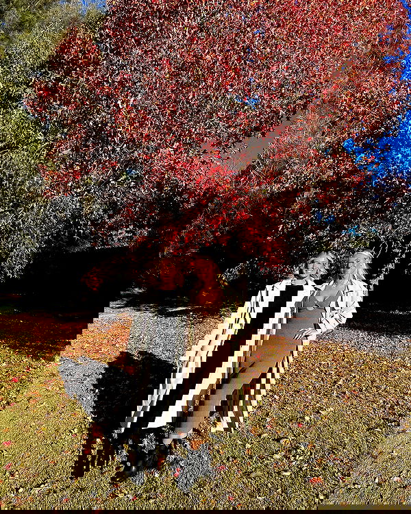 allygravemade image ~ Altpins