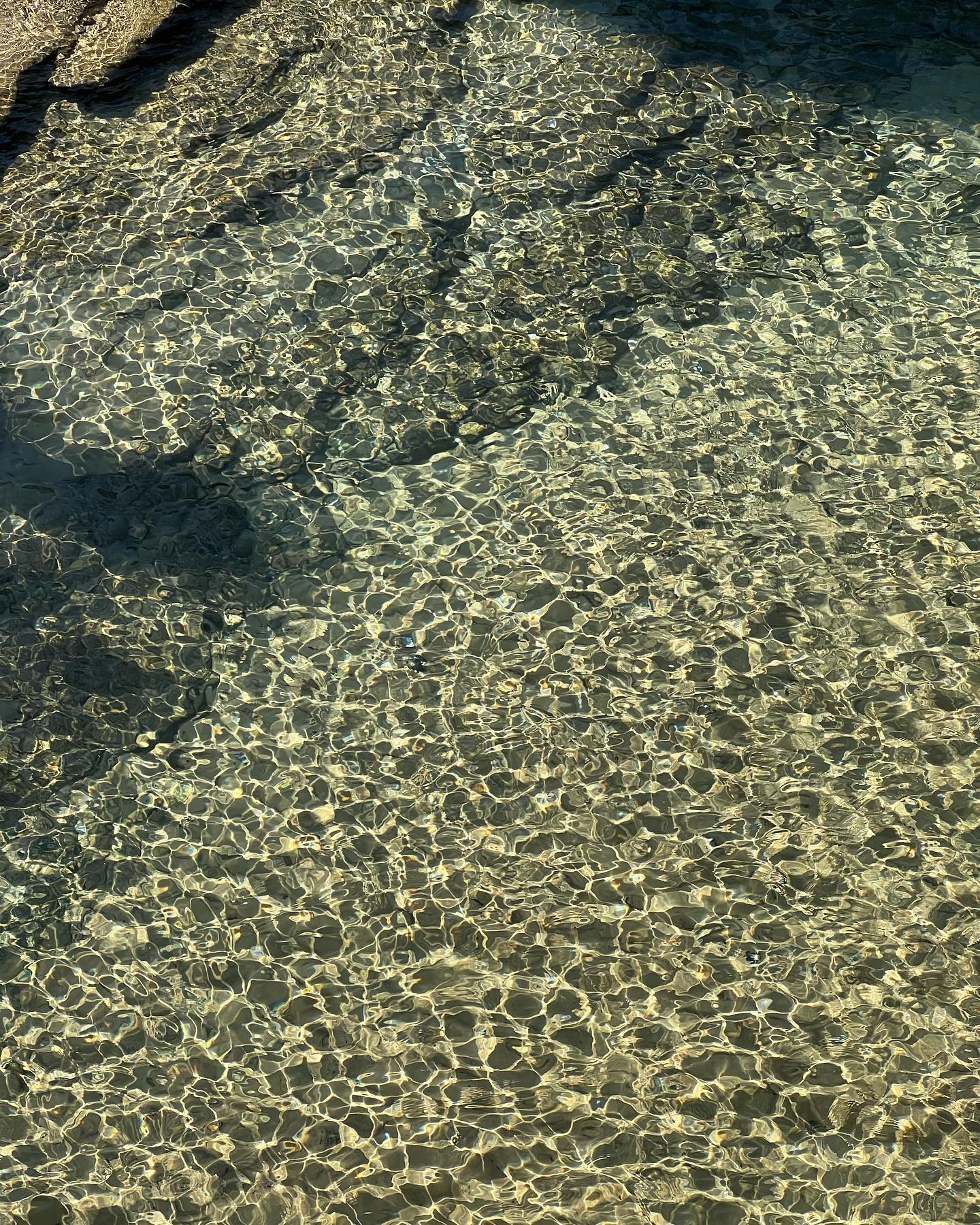 allygravemade instagram image archive image