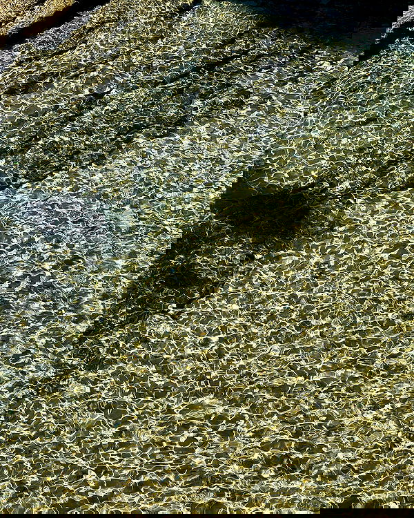 allygravemade image ~ Altpins