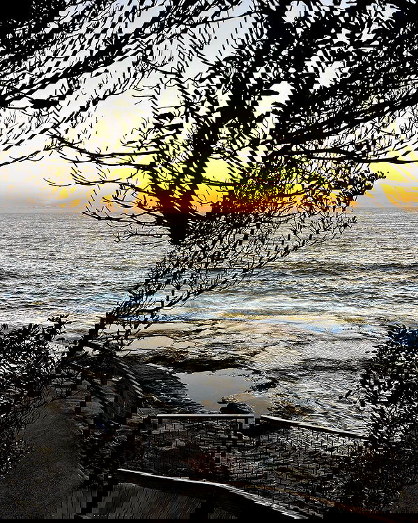 allygravemade image ~ Altpins