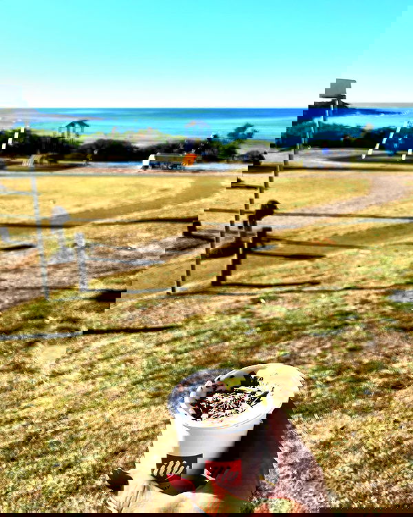 allygravemade image ~ Altpins