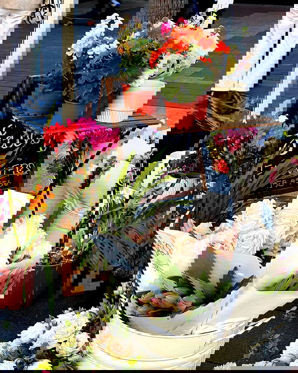 allygravemade image ~ Altpins