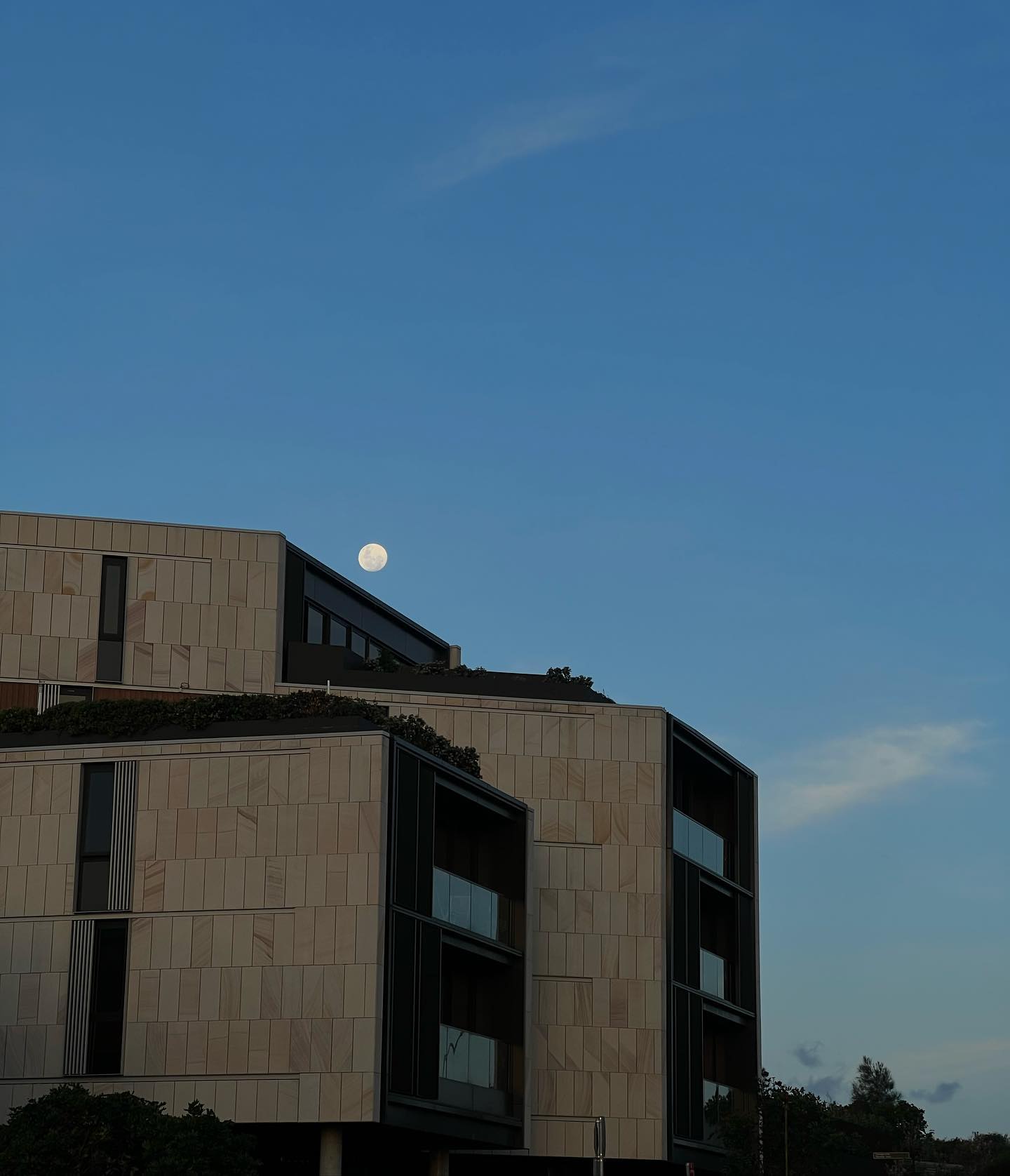 allygravemade instagram image archive image