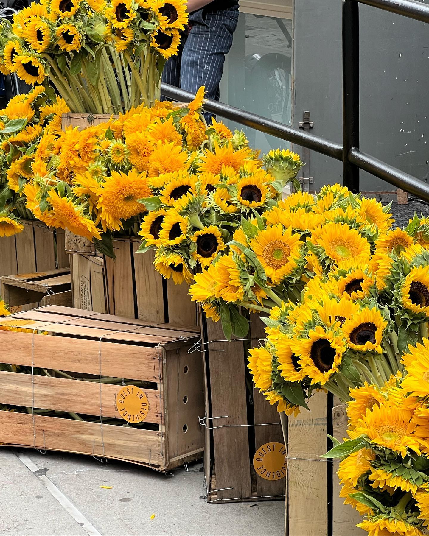 allygravemade instagram image archive image