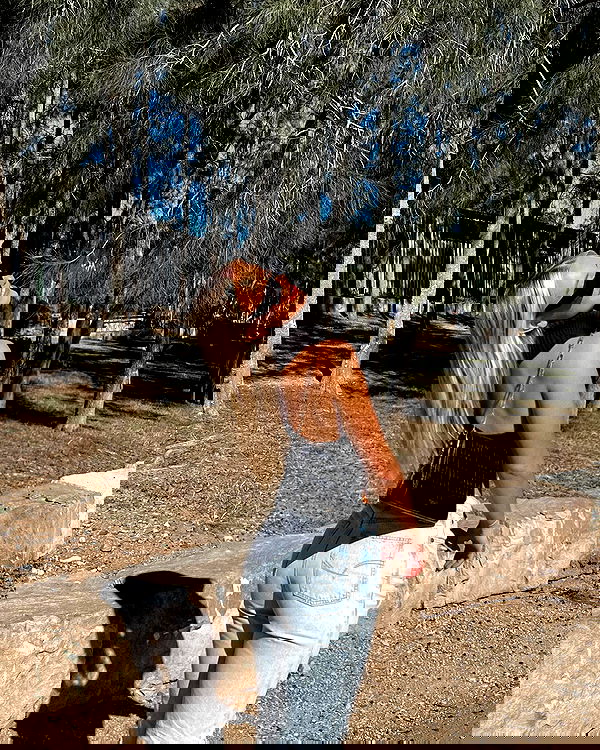 allygravemade image ~ Altpins