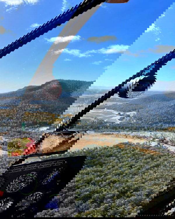 allygravemade image ~ Altpins