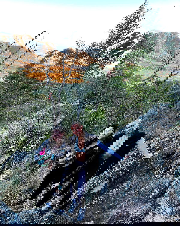 allygravemade image ~ Altpins