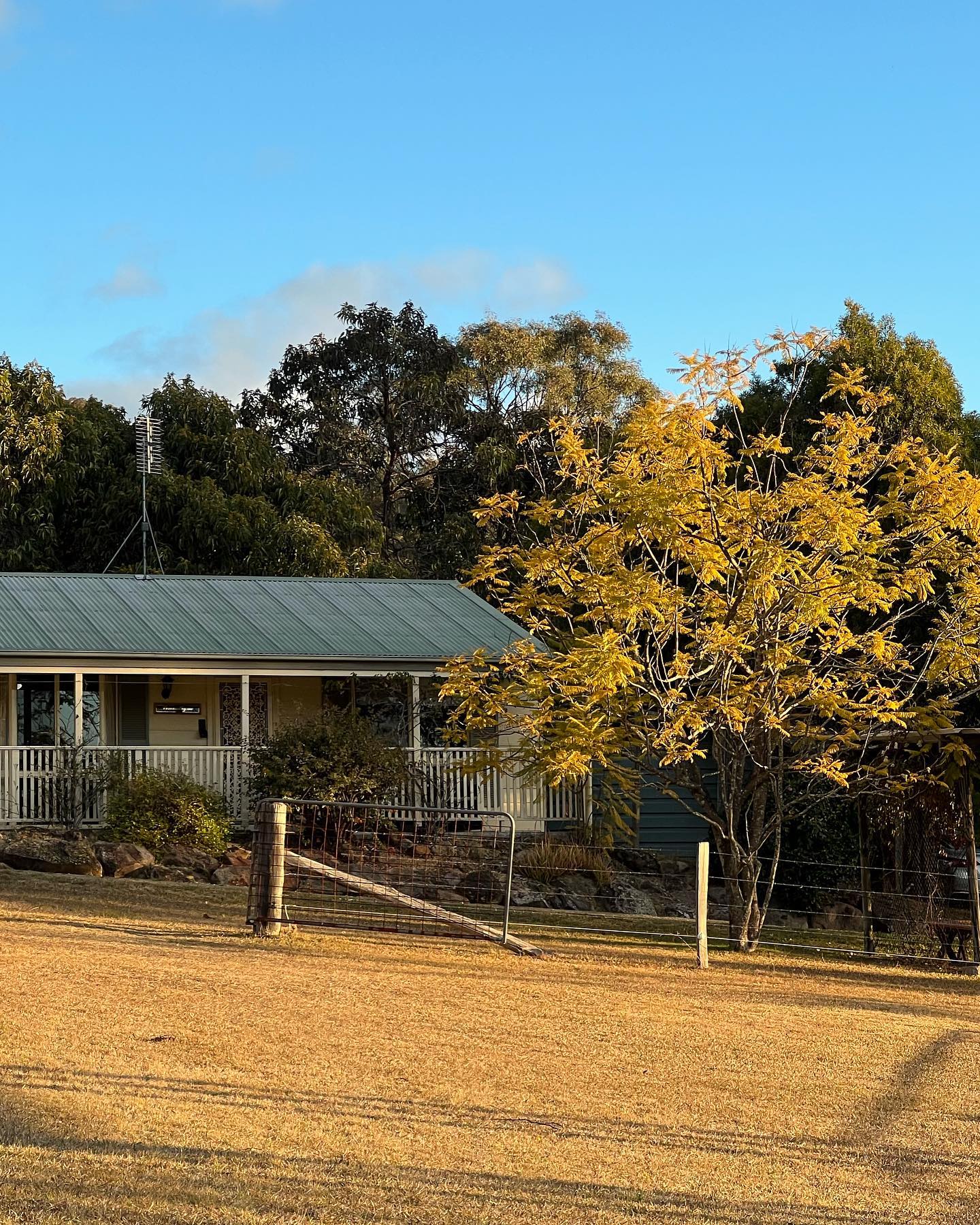 allygravemade instagram image archive image