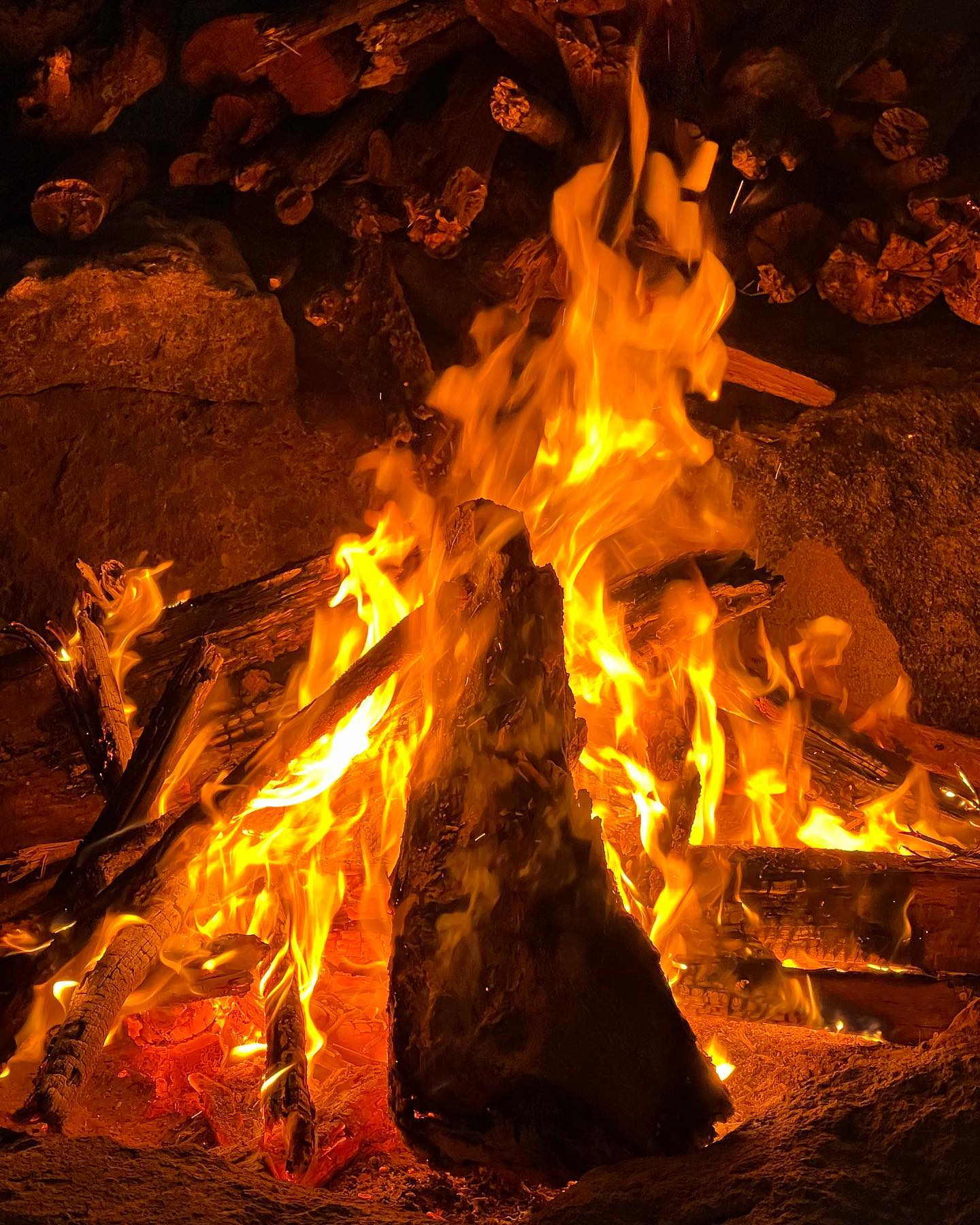 allygravemade instagram image archive image