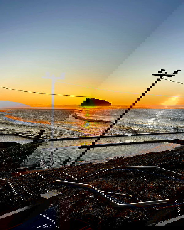 allygravemade image ~ Altpins