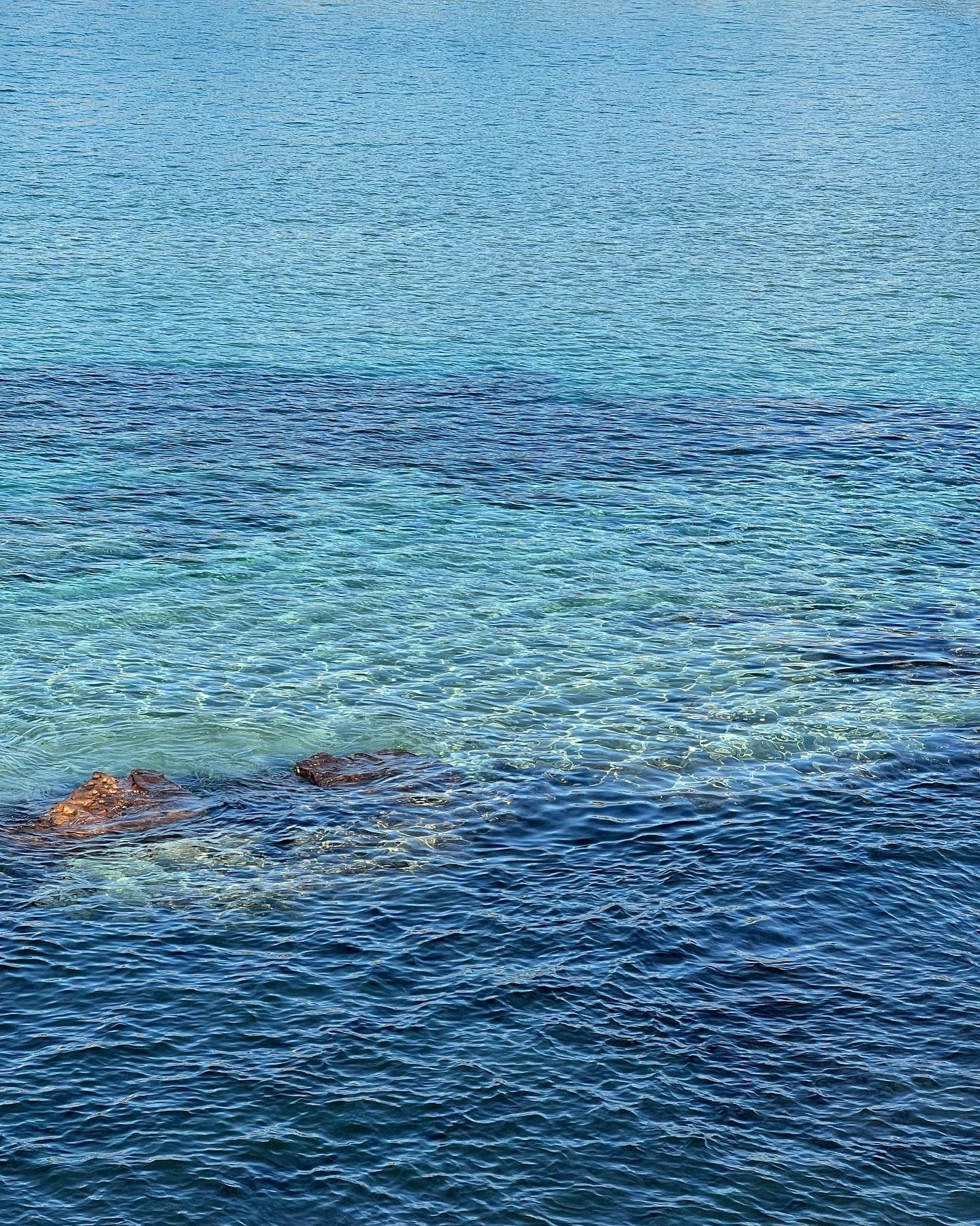 allygravemade instagram image archive image