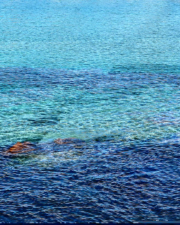 allygravemade image ~ Altpins