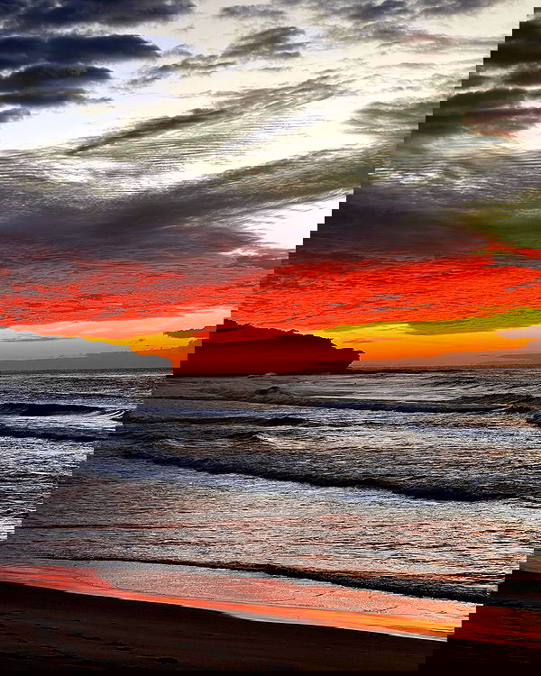 allygravemade image ~ Altpins