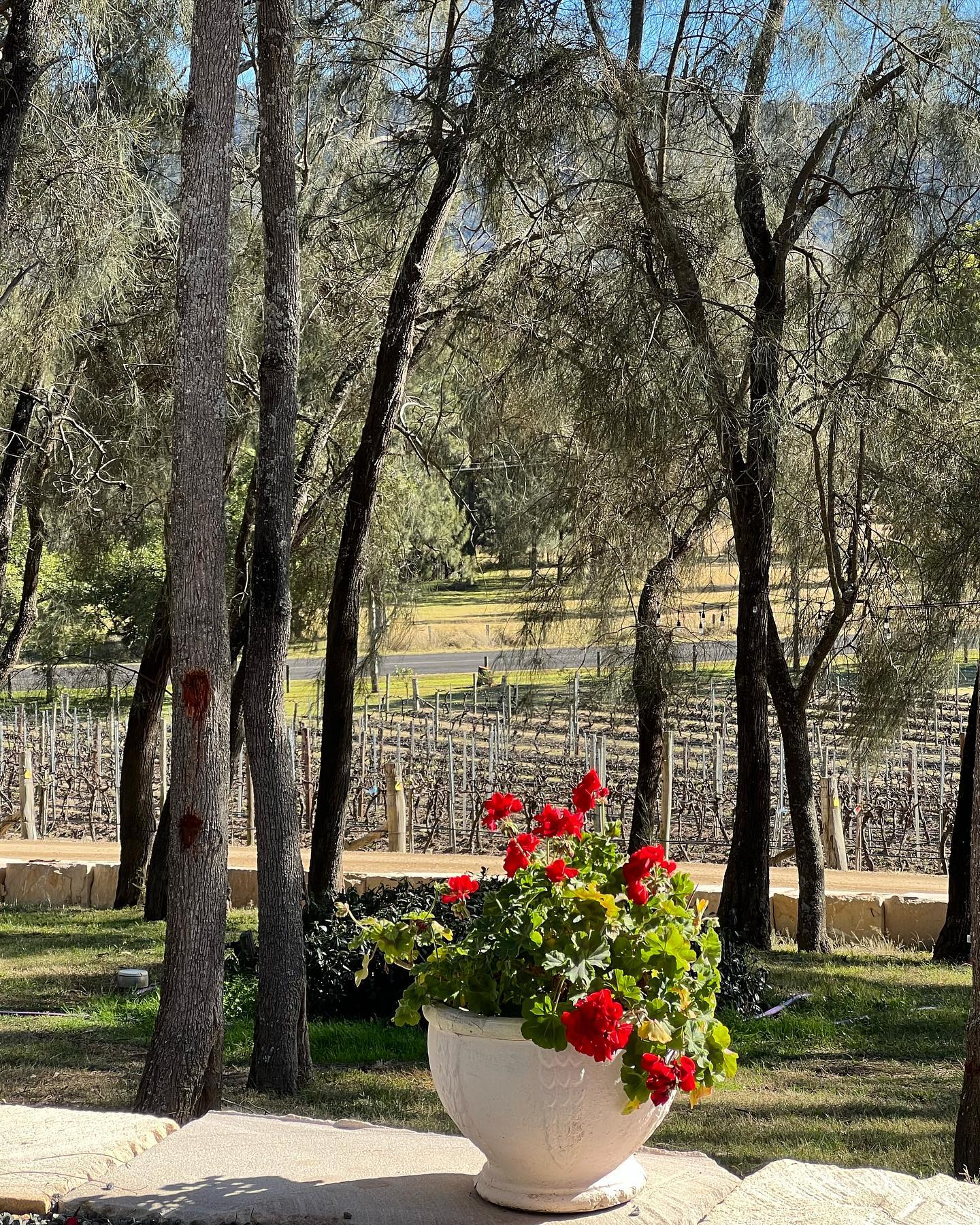 allygravemade instagram image archive image