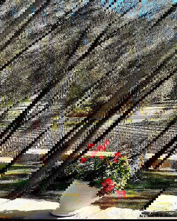 allygravemade image ~ Altpins