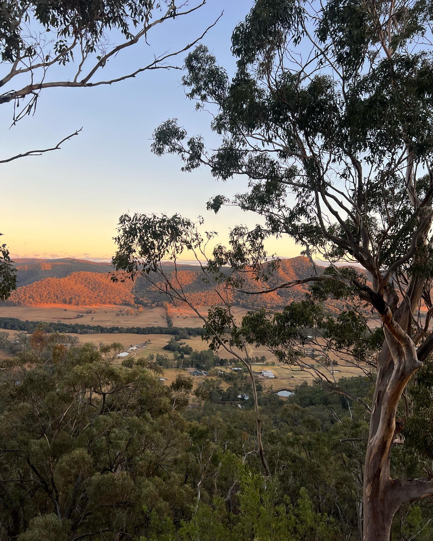 allygravemade instagram image archive image