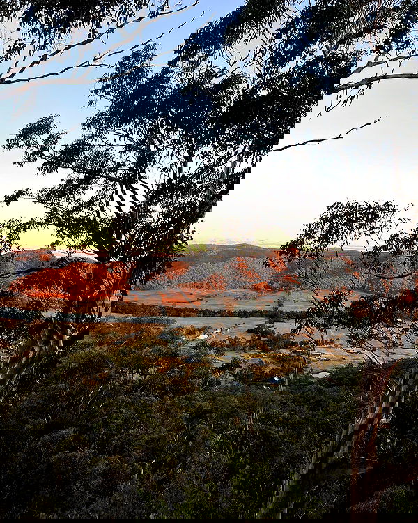 allygravemade image ~ Altpins