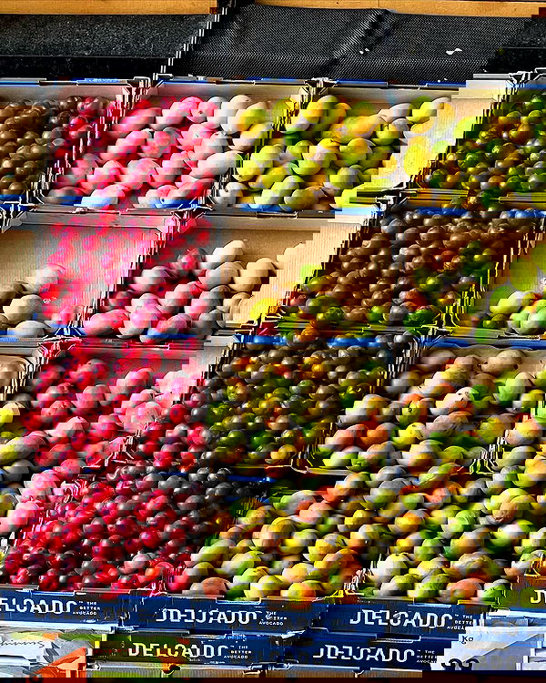 allygravemade image ~ Altpins