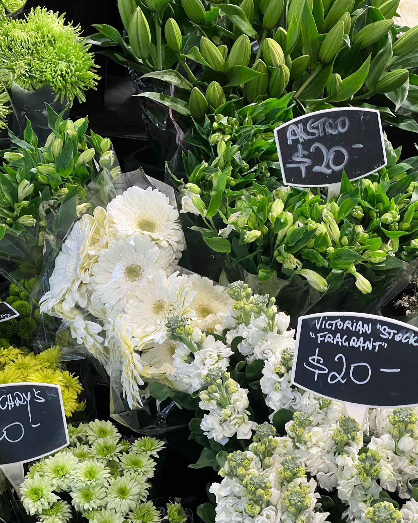 allygravemade instagram image archive image