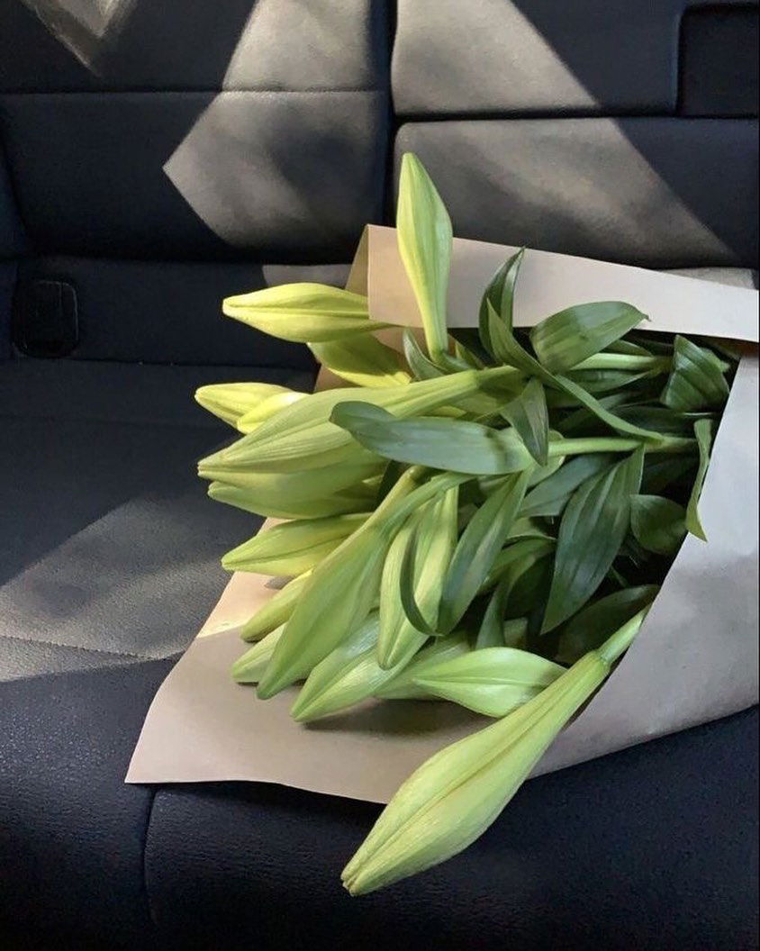 allygravemade instagram image archive image