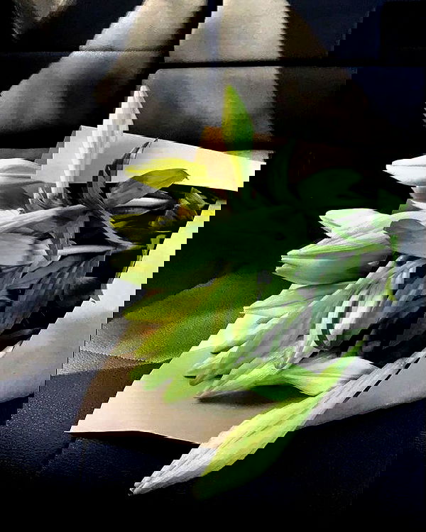 allygravemade image ~ Altpins