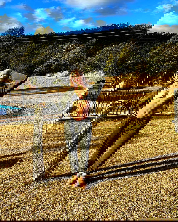 allygravemade image ~ Altpins