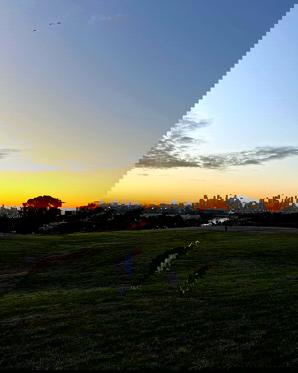 allygravemade image ~ Altpins