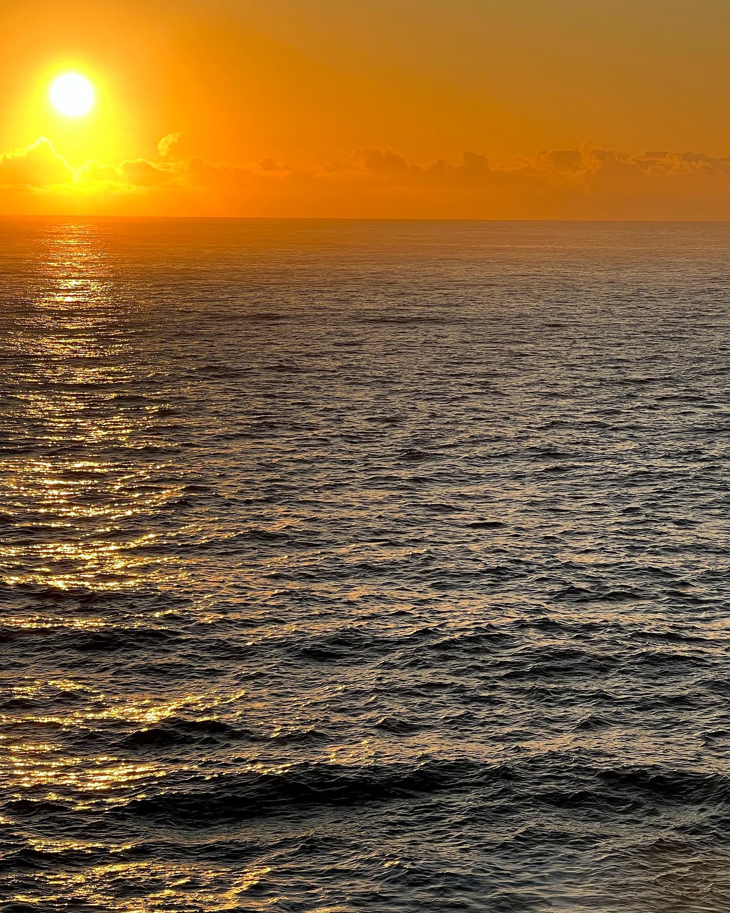 allygravemade instagram image archive image