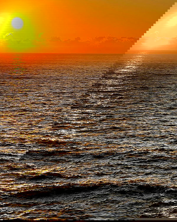 allygravemade image ~ Altpins