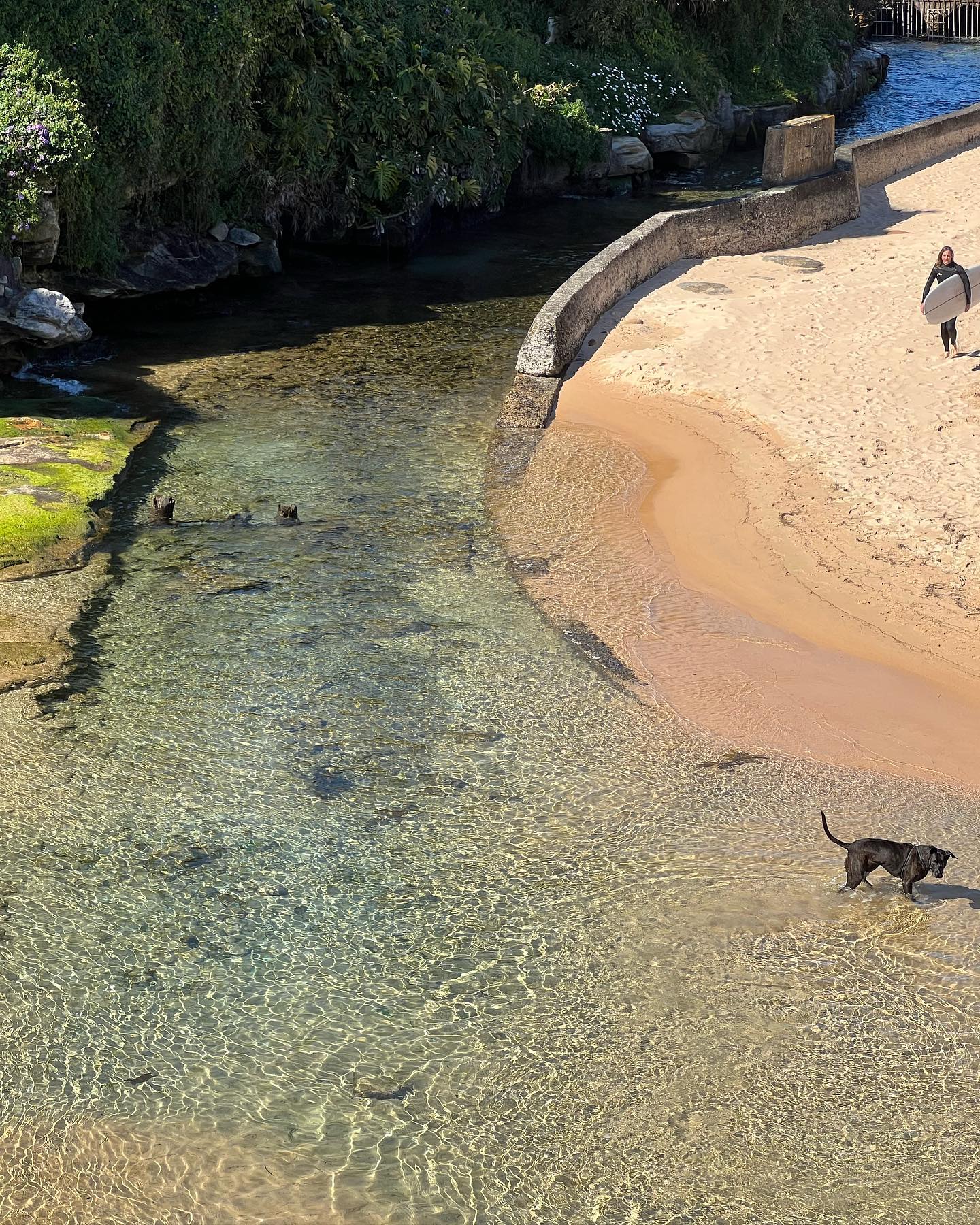 allygravemade instagram image archive image