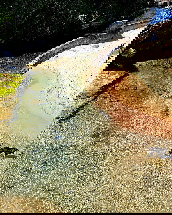 allygravemade image ~ Altpins