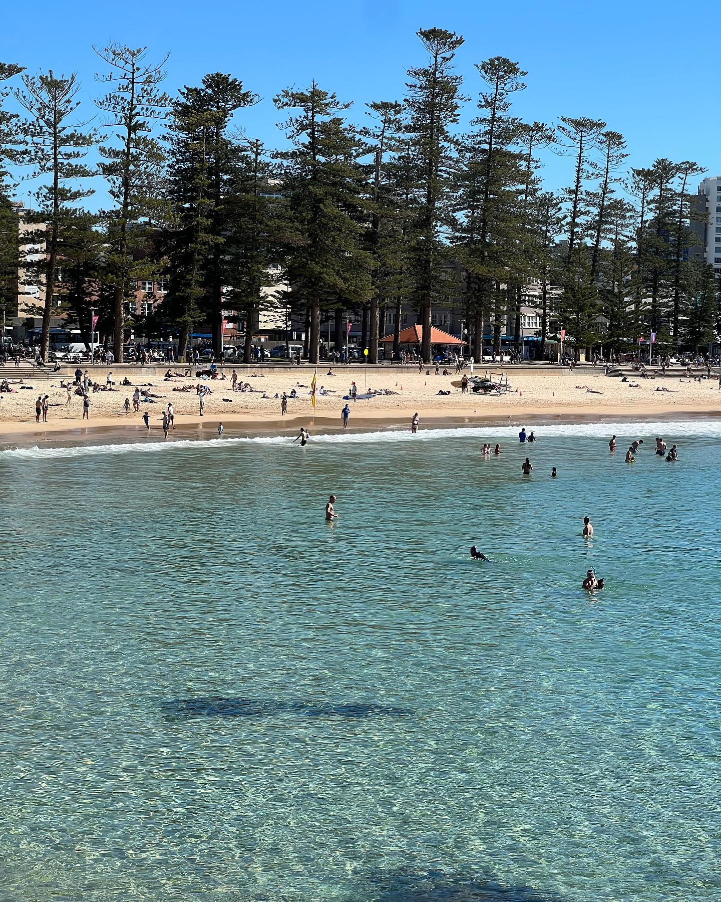 allygravemade instagram image archive image